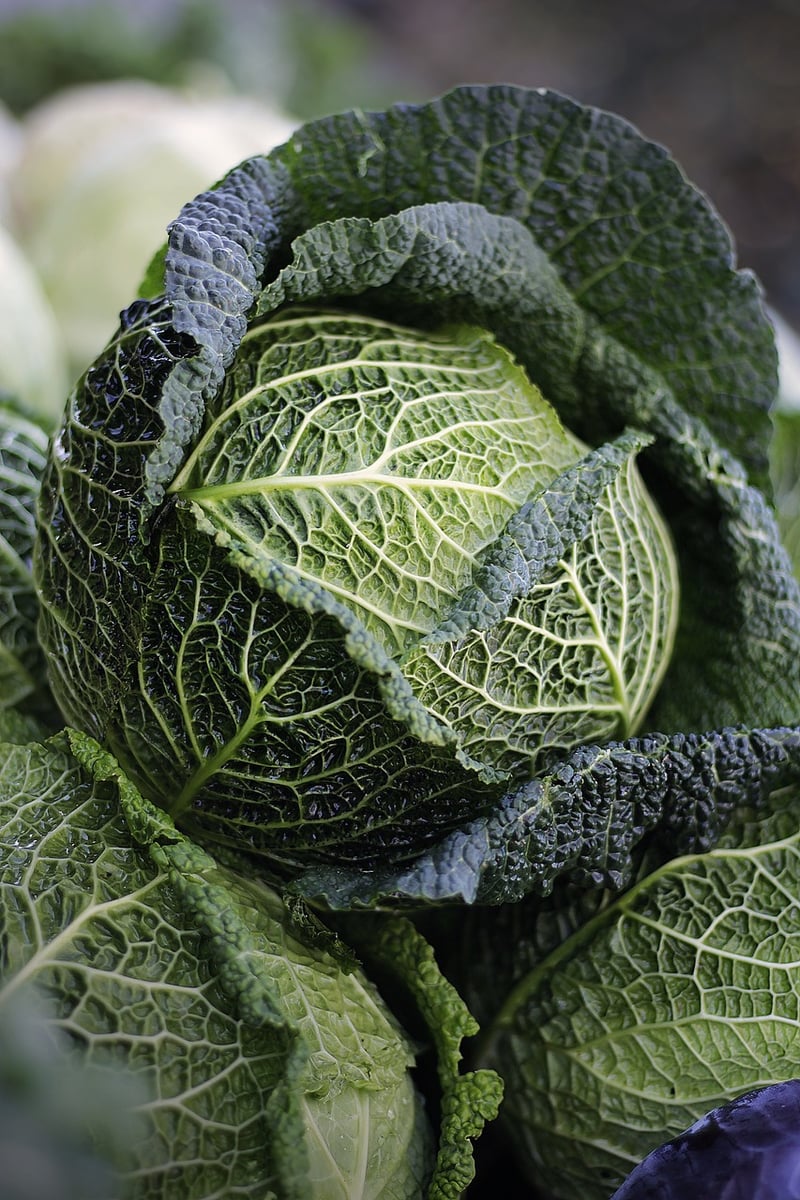 Locally Sourced Vegetables